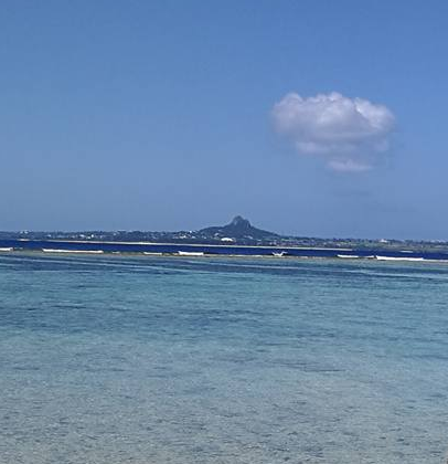 Beach View from Churauimi Aquarium Okinawa