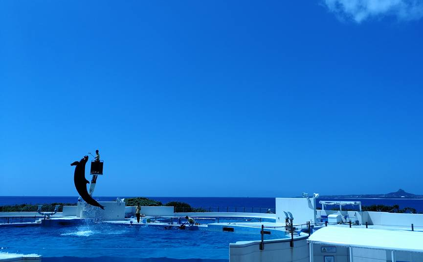 Dolphin Show in Okinawa Churaumi Aquarium