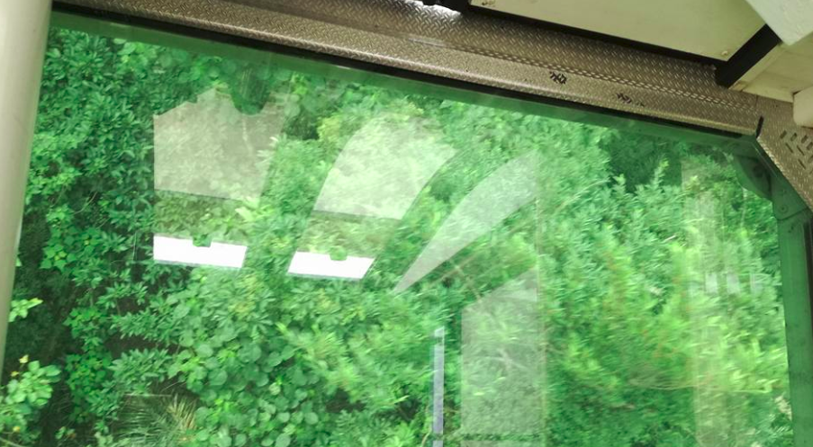 Glass floor of Taipei Gondola