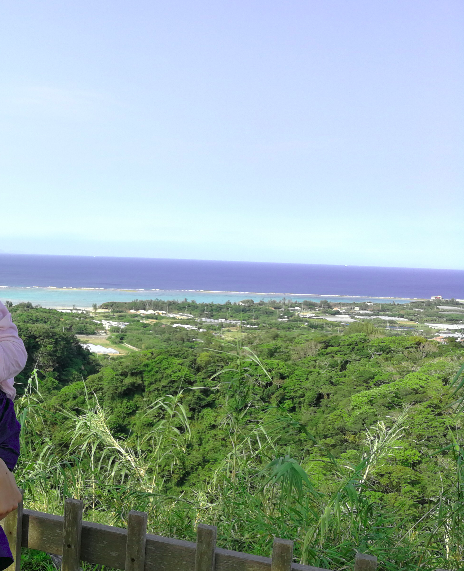 Nakijin Castle top beach view