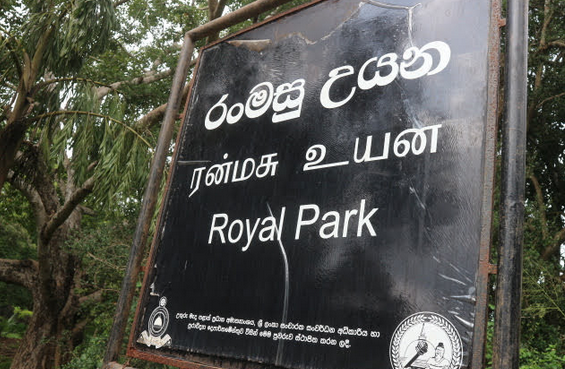 The Royal PArk.