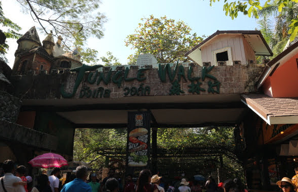 The jungle walk of the safari world.