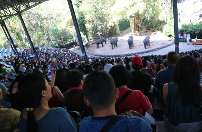 The elephant show stadium at Safari world, Bangkok Thailand.