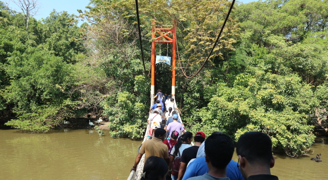 The bridge of Safari world Thailand.