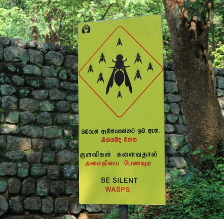 Warning on the wasps at Sigiriya rock.