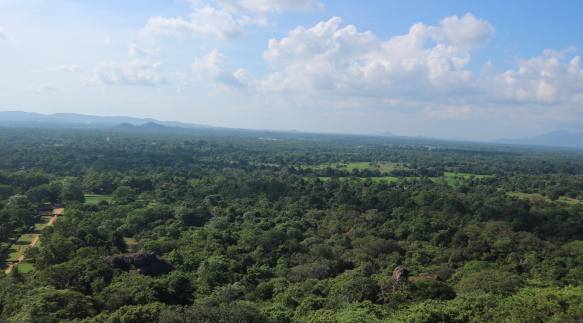 The view from the top of Sigiriya rock.