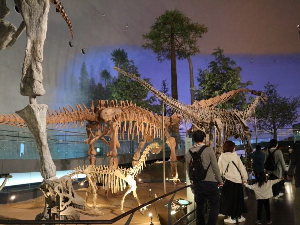 The anatomy of the dinosaur at the museum.