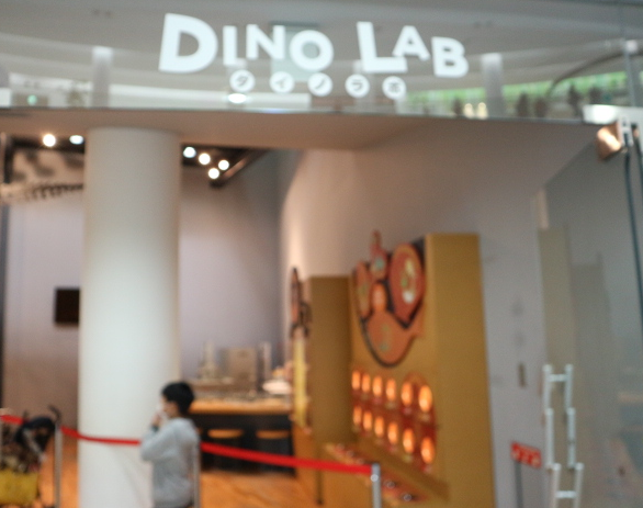 The dino lab of the museum.