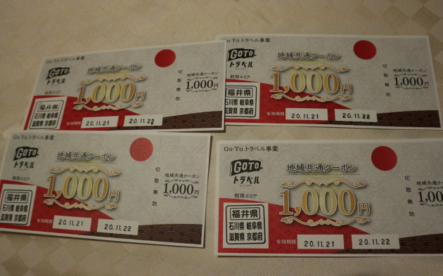 The go-to travel ticket equivalent to yen.