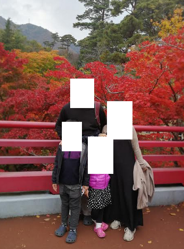 Photo with the momiji tree in Yahiko Park, Niigata Japan.