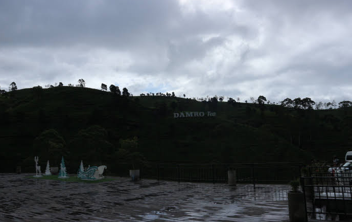 The Damro Tea Factory.