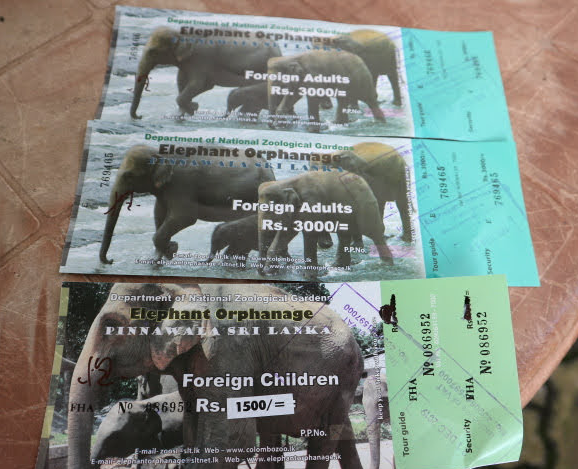 Our tickets at Pinnawala Elephant orphanage Sri Lanka.